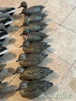 Stampi GHG – Green Head Gear Decoys