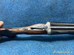 Bernardelli holland & holland 12