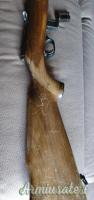 Beretta Super sport  .22 Long Rifle
