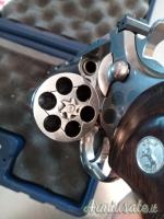 Smith & Wesson Python .357 Magnum  |  9x31mmR  | .353 Casull