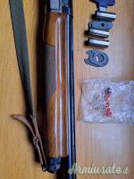 Benelli Raffaello SL 12