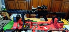 SDM - Sino Defense Manufacturing  .223 Remington