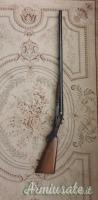 Beretta  cani esterni 12