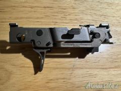 Sig P320 AXG Pro full custom Optics