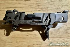 Sig P320 AXG Pro full custom Optics