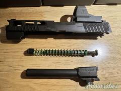 Sig P320 AXG Pro full custom Optics