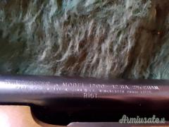 Winchester RIOT 1200 12