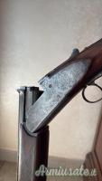 Zoli Antonio Delfino 12