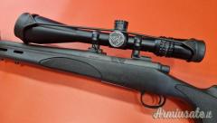 Remington 700 .308 Winchester