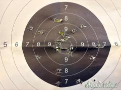 Spreewerke P38, cyq 1944, Sportiva, 9x19 (9 Parabellum)