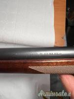 Winchester Model 70 Safari Express ...Altro