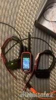 I collari portatili Garmin Alpha 100 e i due colletti di tracciamento Garmin TT15