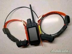Dispositivo portatile Garmin Alpha 300, dotato di due colletti TT da 25.