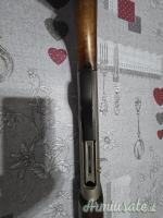 Franchi Grifone 20