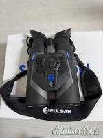 Pulsar symbion