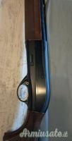 Beretta urika 12