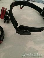 Cinturone completo Ipsc DAA Ghost Cz Shadow 2 sp-01