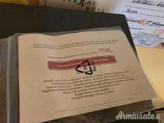 Armadio portafucili blindato Utilia