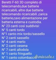 Riproduttore Beretti F-60