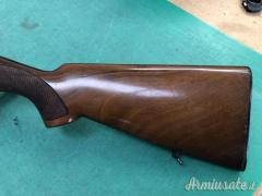 MOLLONE 12