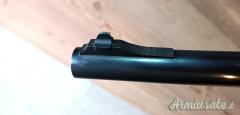 Browning Auto 5 12 slug