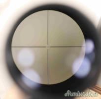 Carabina Walther KKJ Cal. 22LR