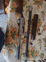 Beretta Greystone  12