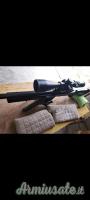 Altaros  M 24  cal 5.5 canna 600 mm