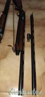 Beretta AL 391 urika 12