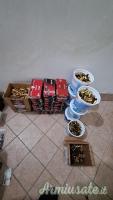Lotto ricarica Cal 40 S&W