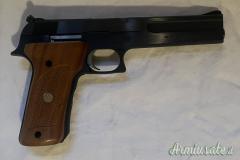 Smith & Wesson 422 .22 LR Long Rifle