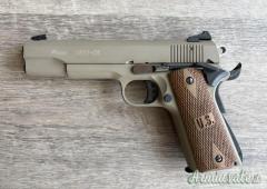 SIG-Sauer 1911/22 .22 LR Long Rifle