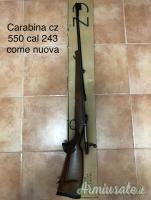 CZ CAL 243, Beretta 22 lr, Beretta RS 202 P, Beretta target 9x21 sportiva.