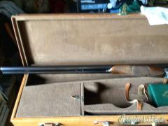 Rizzini Anson  12