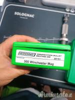 Deis redding 300 win Mag