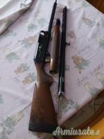 Benelli Raffaello 12