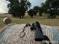 Blaser R8 .308 Winchester