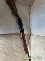 Beretta 303 12
