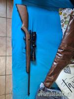 Savage Mark2 .22 Long Rifle