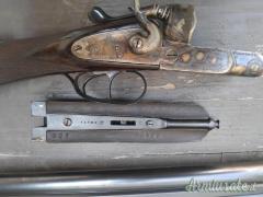 Beretta Vittoria 12