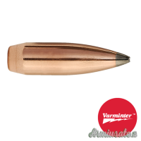 SIERRA Palle Varminter 243