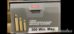 Norma/lapua .300 WM