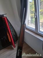 Beretta A303 20