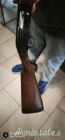 Beretta A301 20