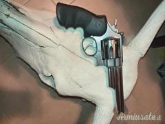 Smith & Wesson  .44 Remington Magnum
