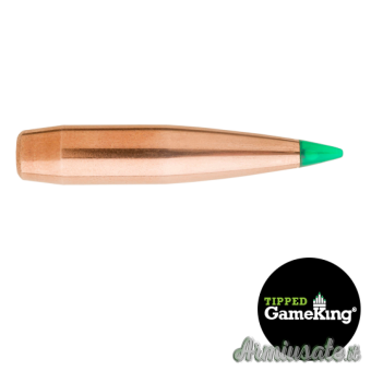 SIERRA Palle Tipped GameKing 284" 165gr TGK #4565 (100pz)