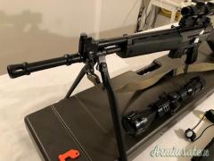 Beretta AR 70 SPORT .222 Remington