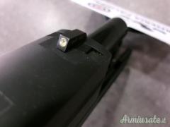 SIG SAUER P250 CAL 9X21  RIF  ARMIUS_6590
