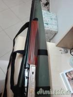 Benelli Passion 12