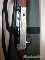 Benelli Passion 12
